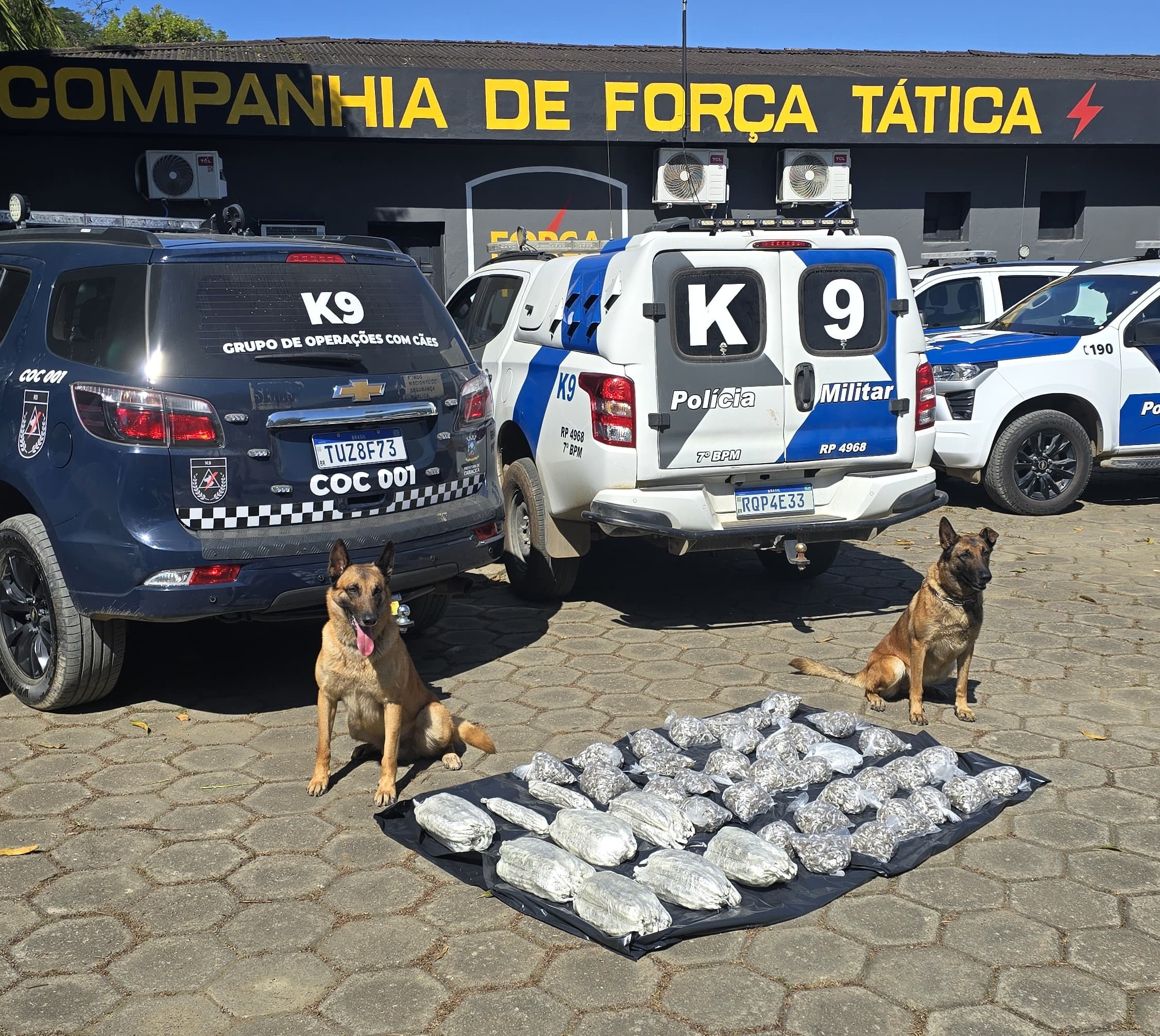 Ação conjunta da Guarda Municipal e Polícia Militar apreende mais de 9,5 mil porções de drogas em Flexal II