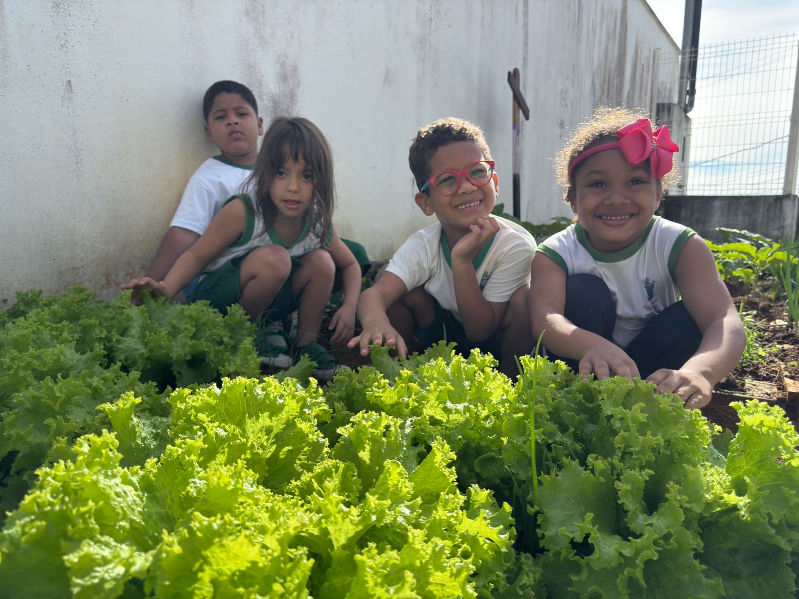 Horta escolar incentiva alimentação saudável e vira sala de aula ao ar livre em Cariacica
