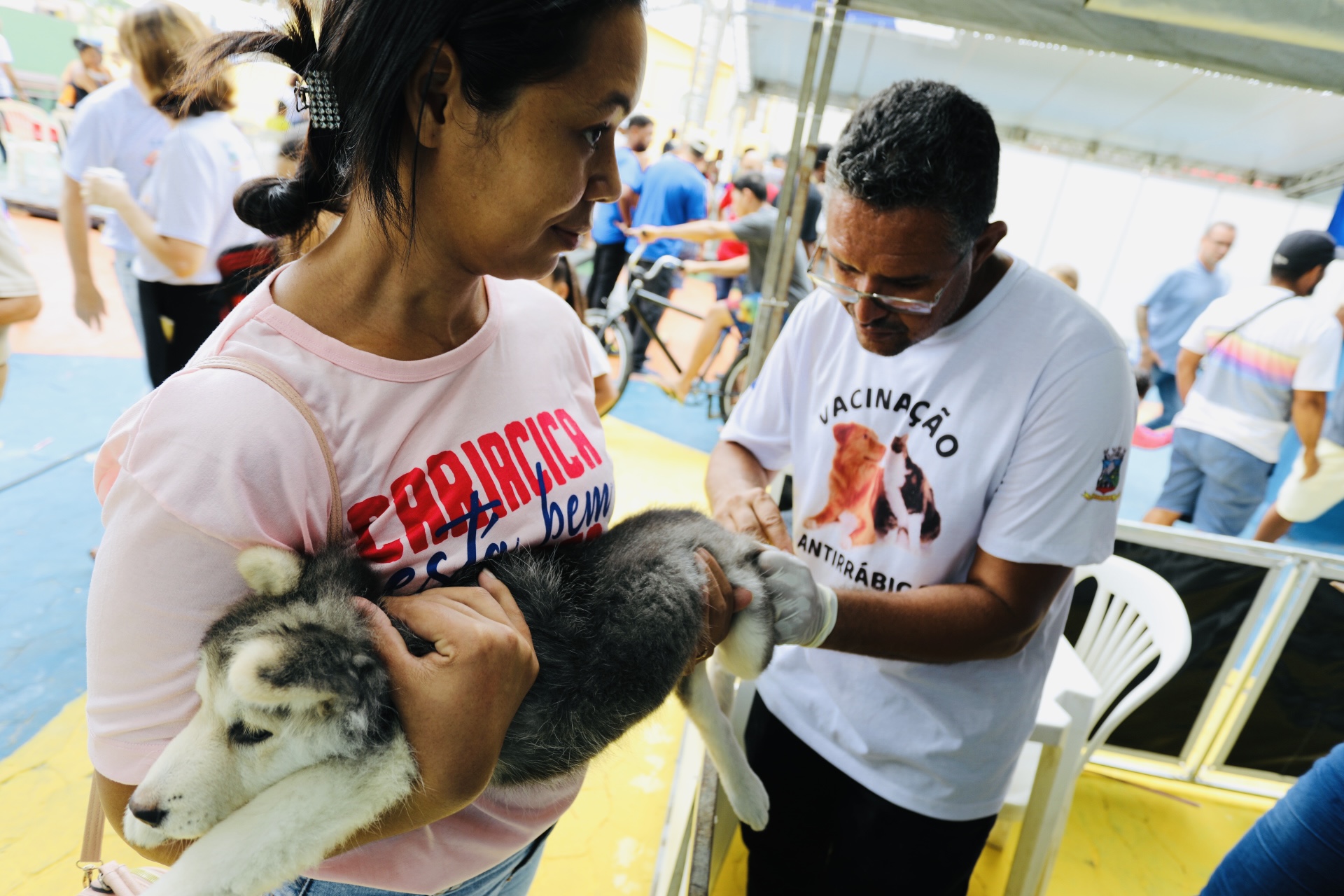 Campanha: mais de 900 cães e gatos já receberam a vacinação antirrábica na zona rural