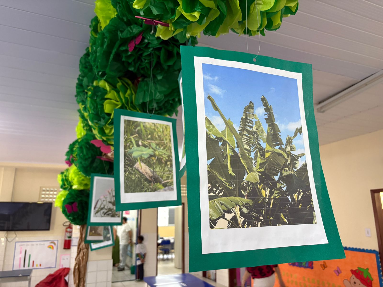 Alunos de escola municipal exploram criatividade por meio da arte de fotografar