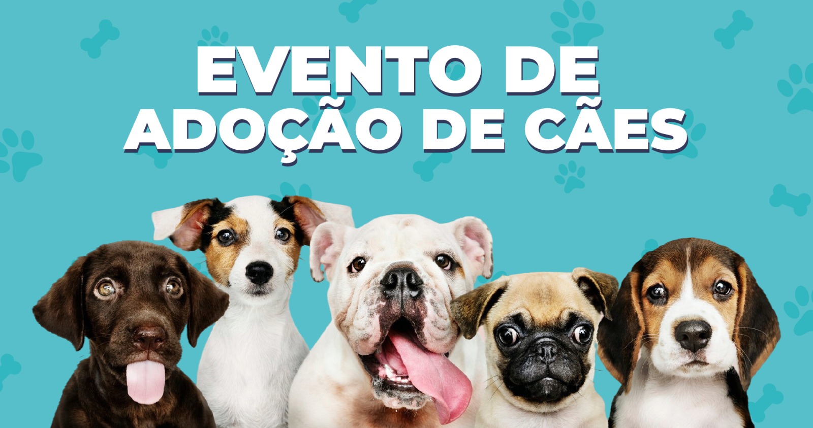 Praça de Campo Grande recebe evento de adoção de cães