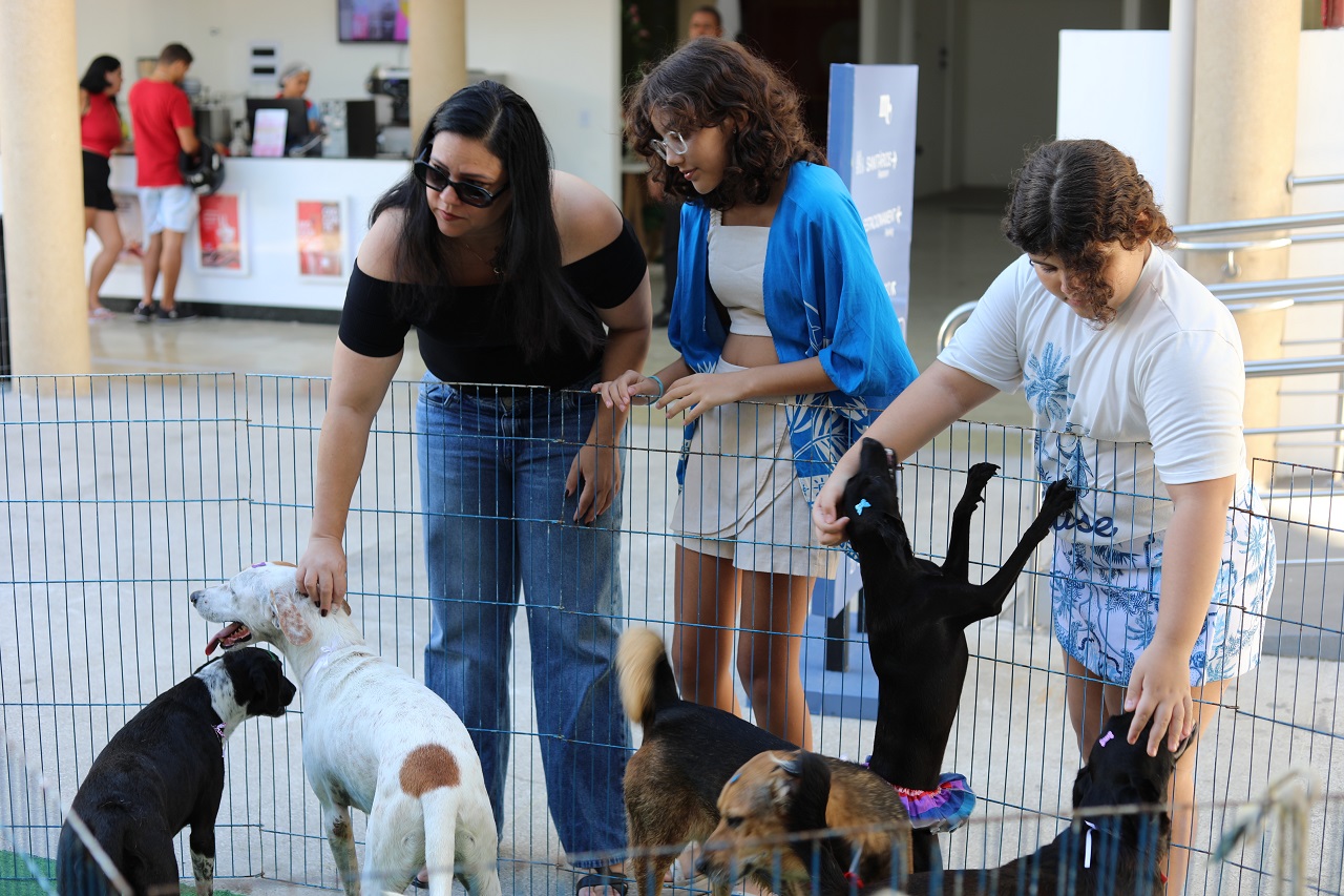 Praça de Campo Grande recebe evento de adoção de cães