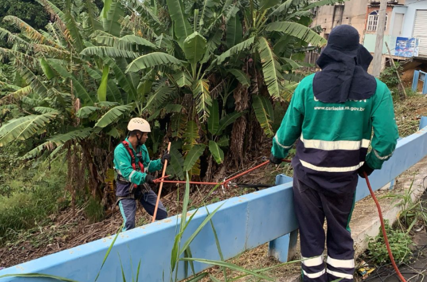 Coletores alpinistas garantem limpeza da cidade até nas alturas
