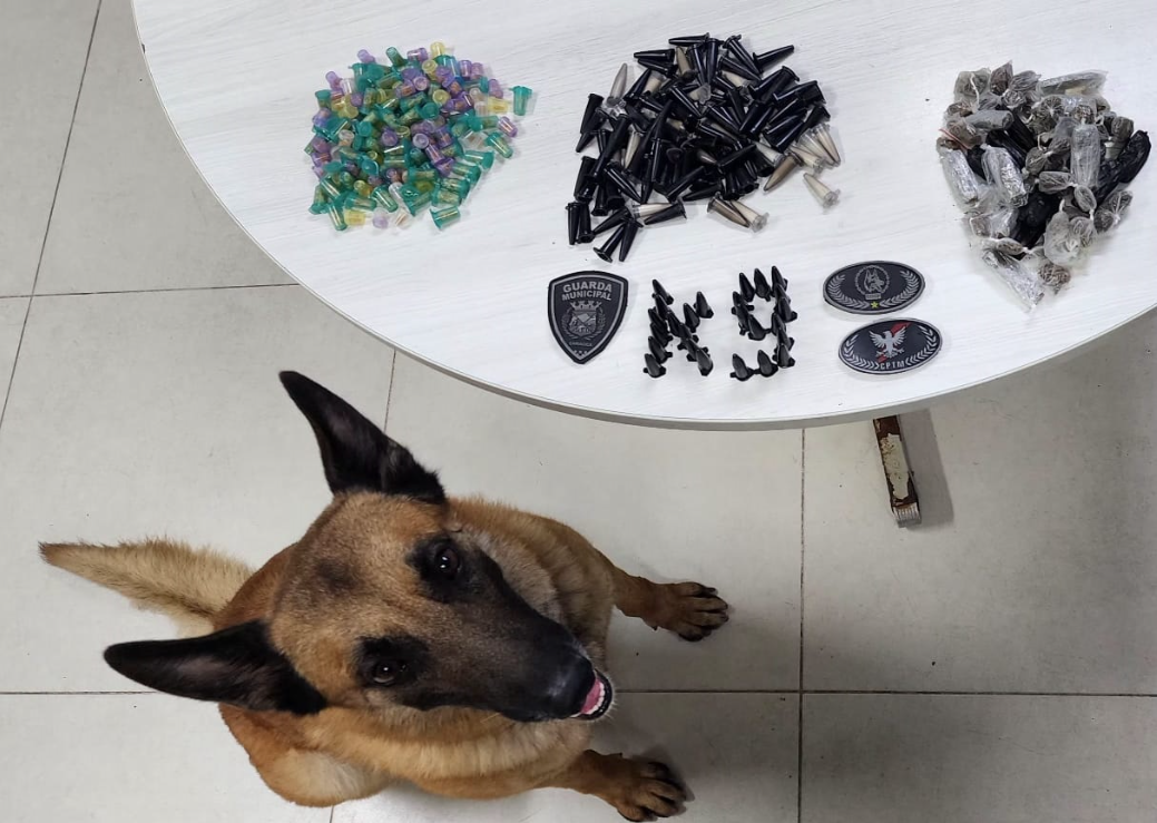 Guarda de Cariacica apreende 120 pinos de cocaína com ajuda de cão farejador 