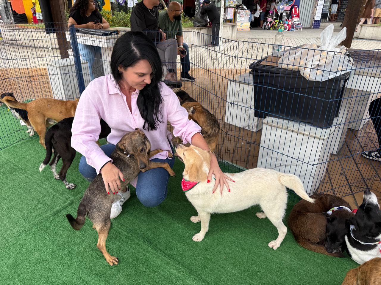 Cães ganham novos lares após Feira de Adoção neste sábado (2) em Campo Grande
