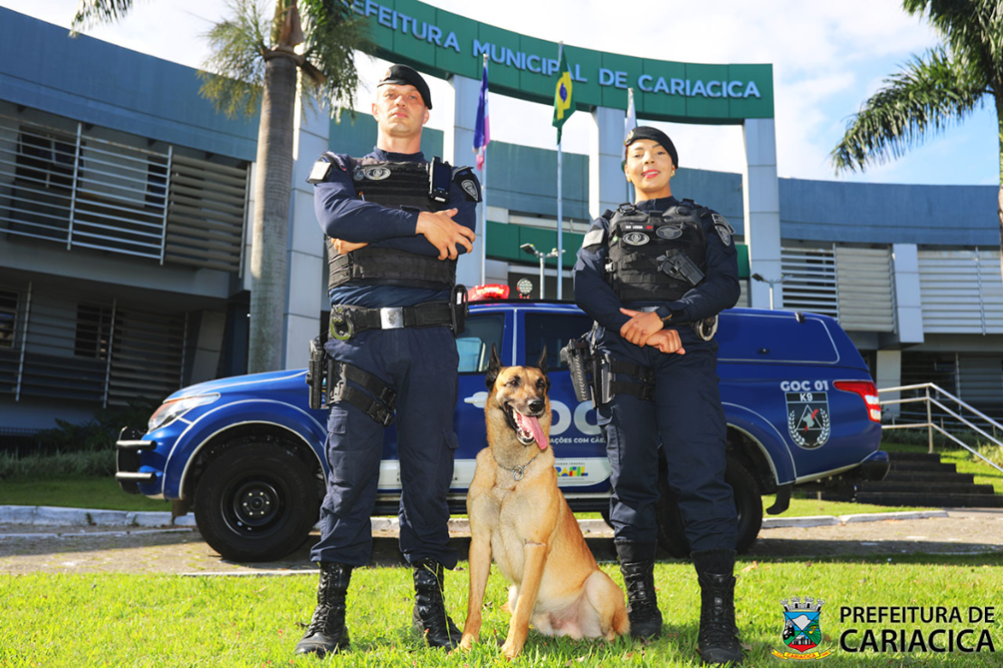 Segurança Pública: conheça o trabalho estratégico do cão policial da Guarda de Cariacica