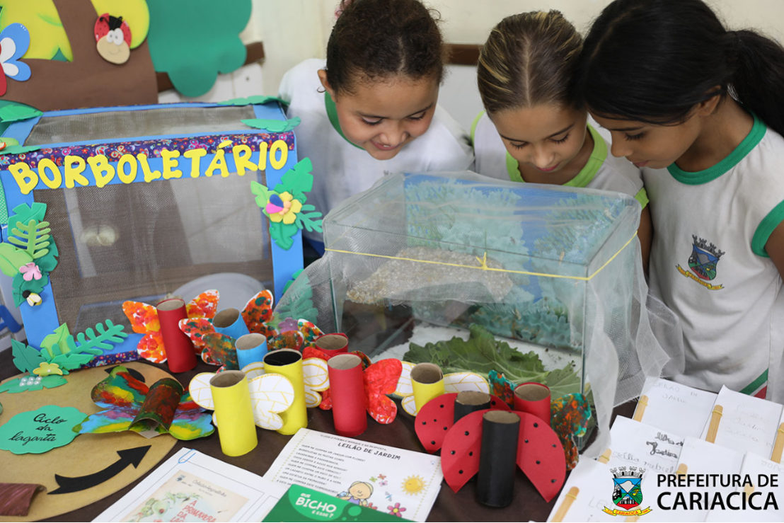 Borboletário na escola: projeto dá asas ao aprendizado e ensina ciclo da vida para alunos de Cariacica