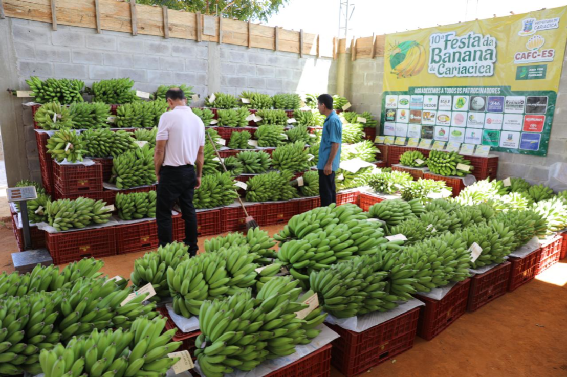 Festa da Banana celebra agricultura familiar e tradição em Cariacica