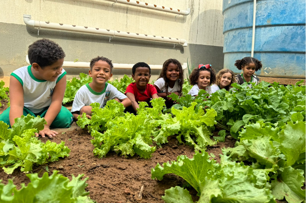 Alunos da Emef Professora Tânia Pôncio Leite vivem dia de colheita em horta escolar