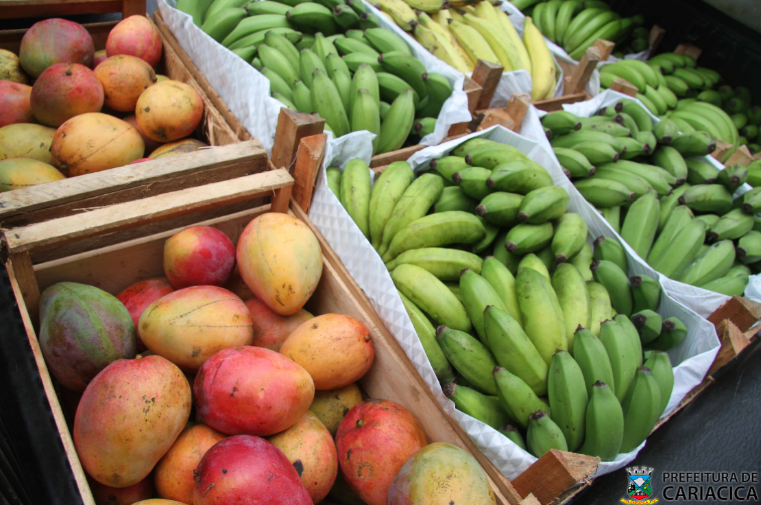 Prefeitura abre chamada pública para aquisição de alimentos da agricultura familiar para merenda escolar