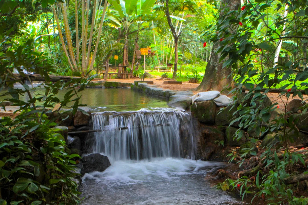 Descubra Cariacica: veja opções para aproveitar o agroturismo do município 