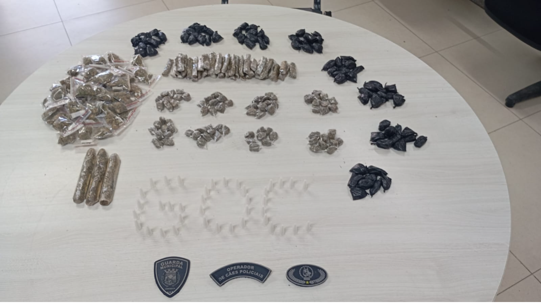 Cão policial da Guarda de Cariacica auxilia na apreensão de drogas em Rio Marinho