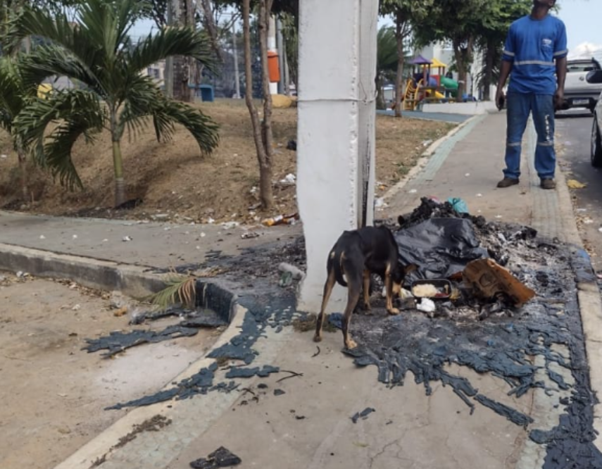 Vandalismo gera prejuízos de mais de R$ 1 milhão em Cariacica