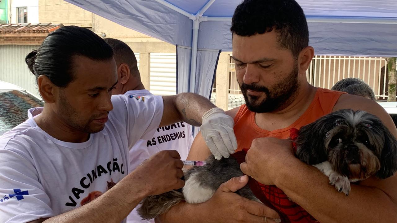 Campanha de vacinação antirrábica imuniza 6.681 animais entre cães e gatos neste sábado (20) em Cariacica