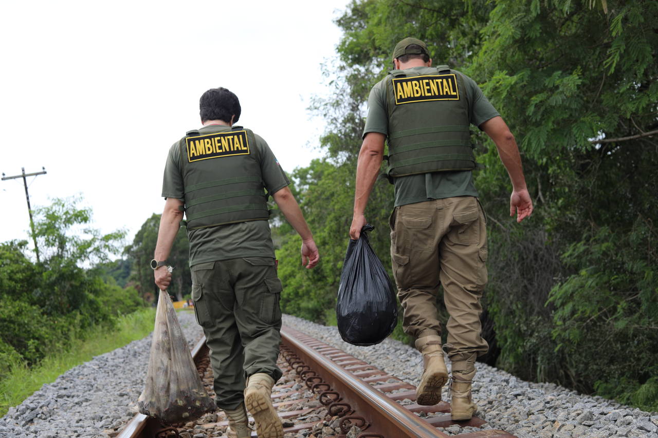 Fiscalização atua contra captura irregular de caranguejo-uçá em manguezal durante a andada