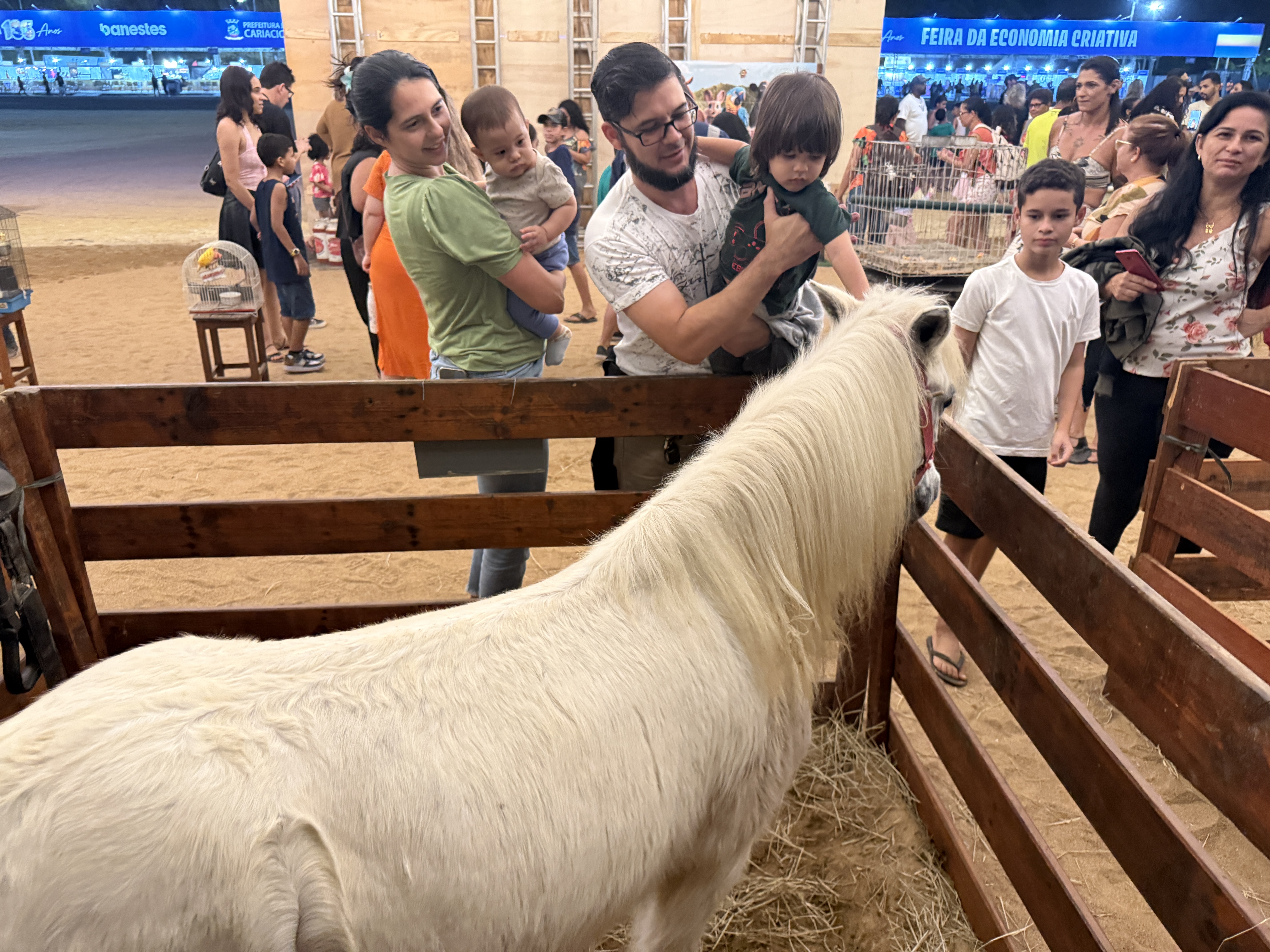 Fazendinha é opção de lazer para crianças durante a festa de 136 anos de Cariacica