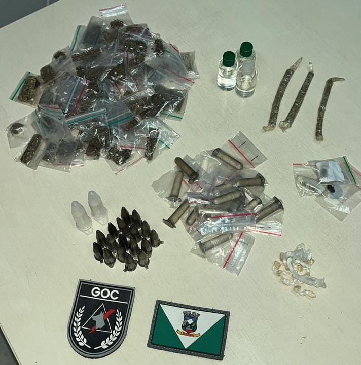 Cão farejador auxilia na apreensão de drogas durante patrulhamento da Guarda Municipal