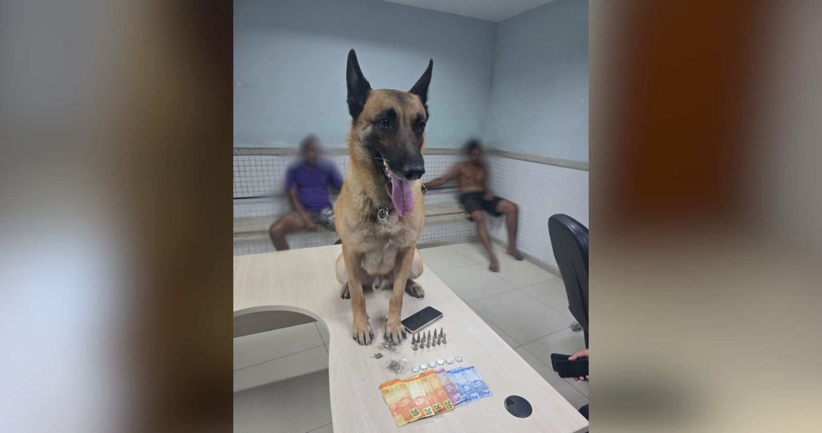 Cão farejador ajuda Guarda Municipal em apreensão de drogas no bairro Itapemirim