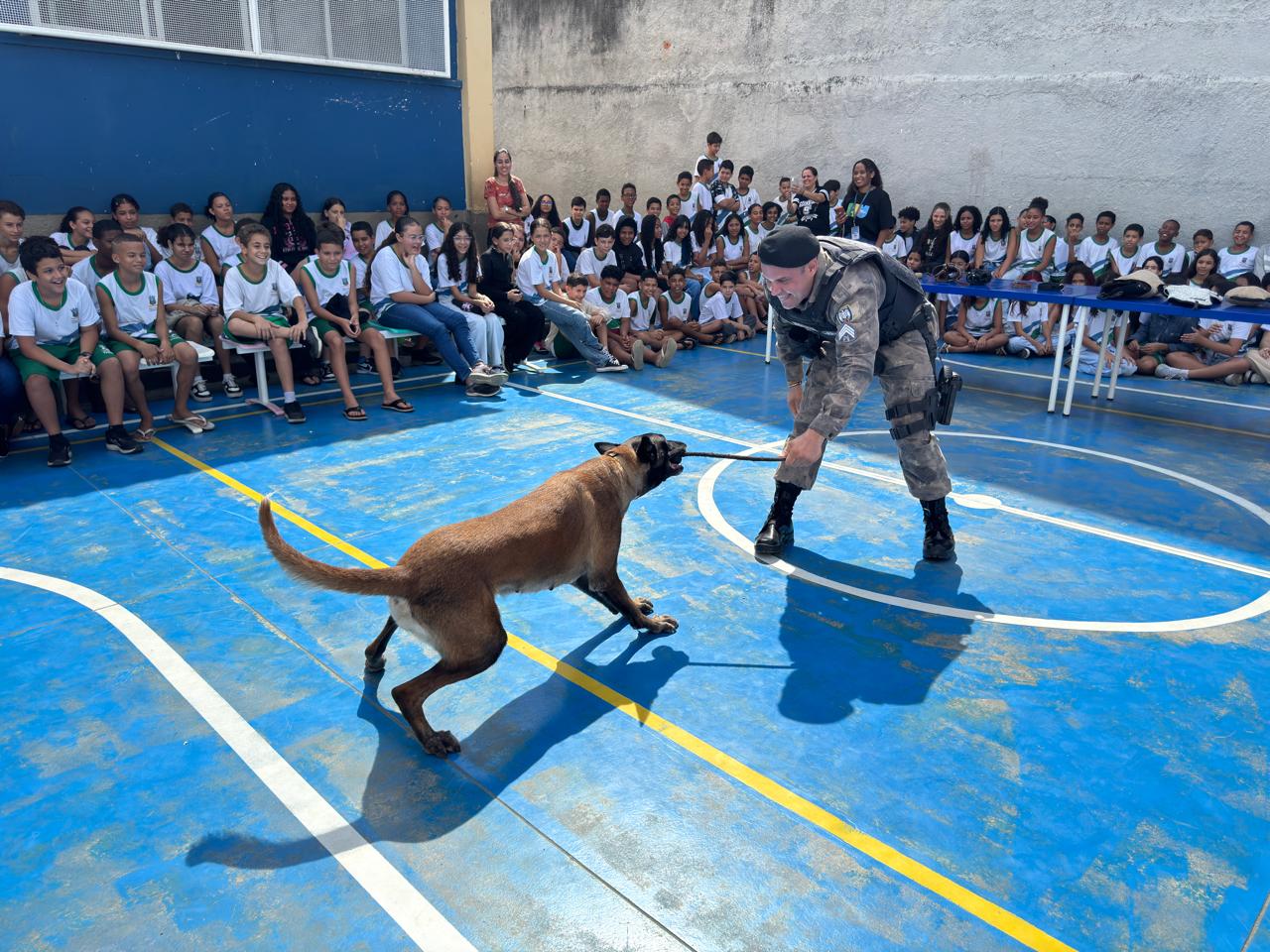 Missão especial: alunos conhecem atividades realizadas por cães policiais durante apresentação