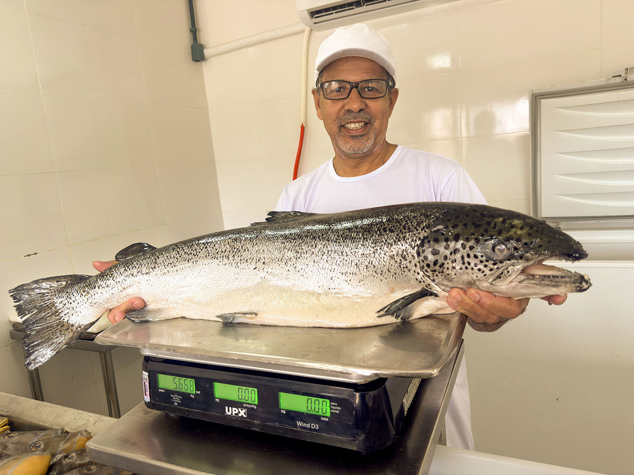 Peixe fresco e opções para a moqueca: nova peixaria do Mercado Municipal garante os ingredientes para o almoço do fim de semana em família