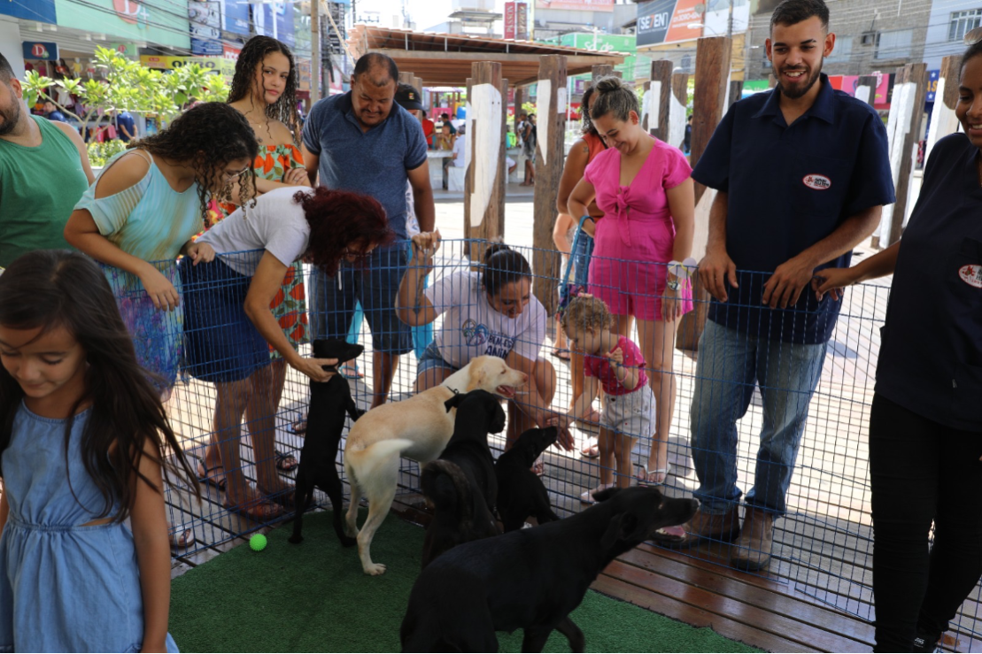 Famílias deram novo lar para cães em feira de adoção realizada em Campo Grande