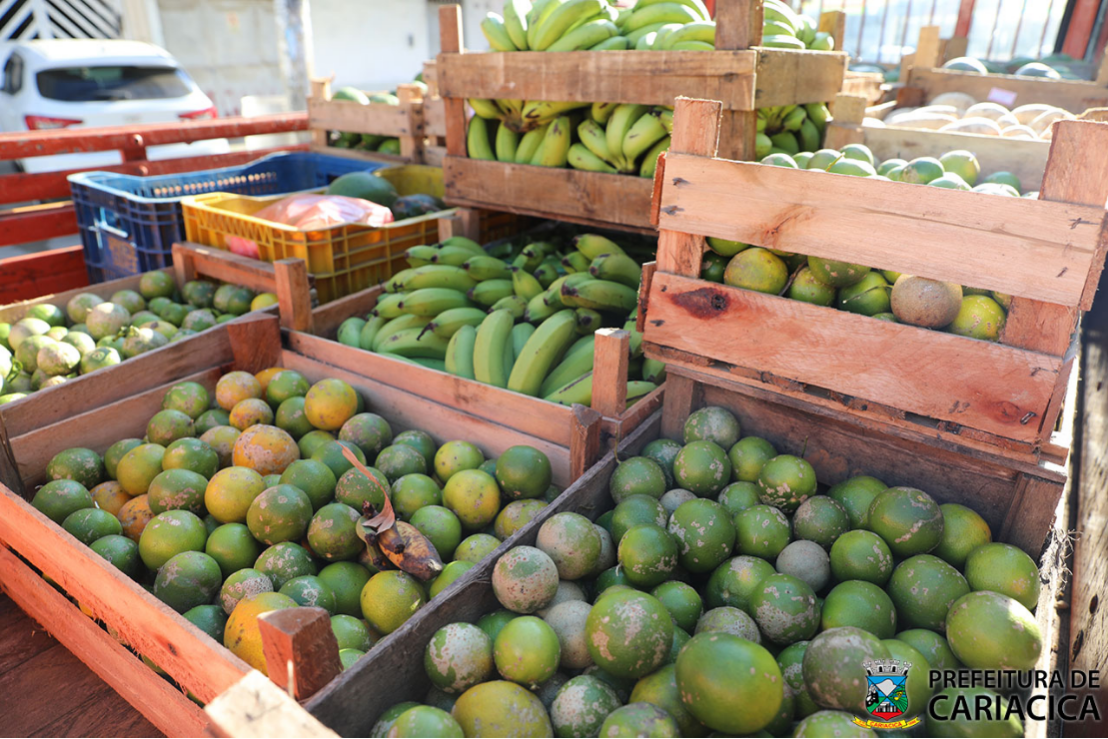 Produtores entregam mais de 10 toneladas de alimentos a serem doadas a famílias em vulnerabilidade