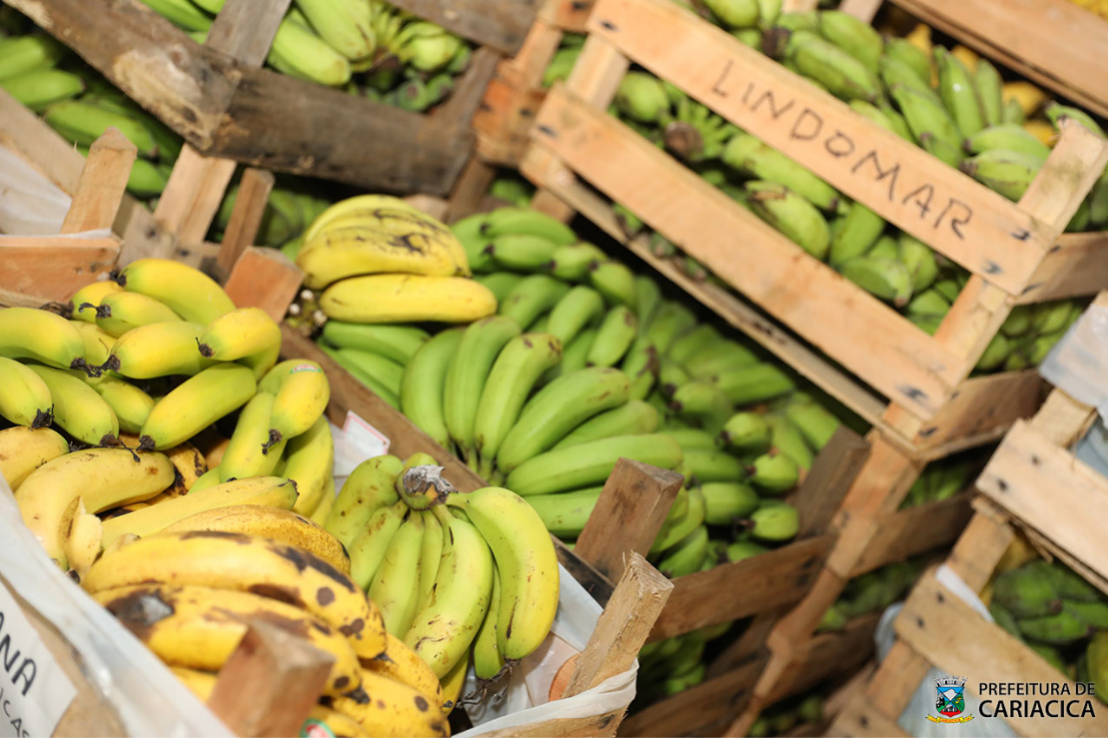 Agricultura faz entrega de cerca de 5 toneladas de alimentos