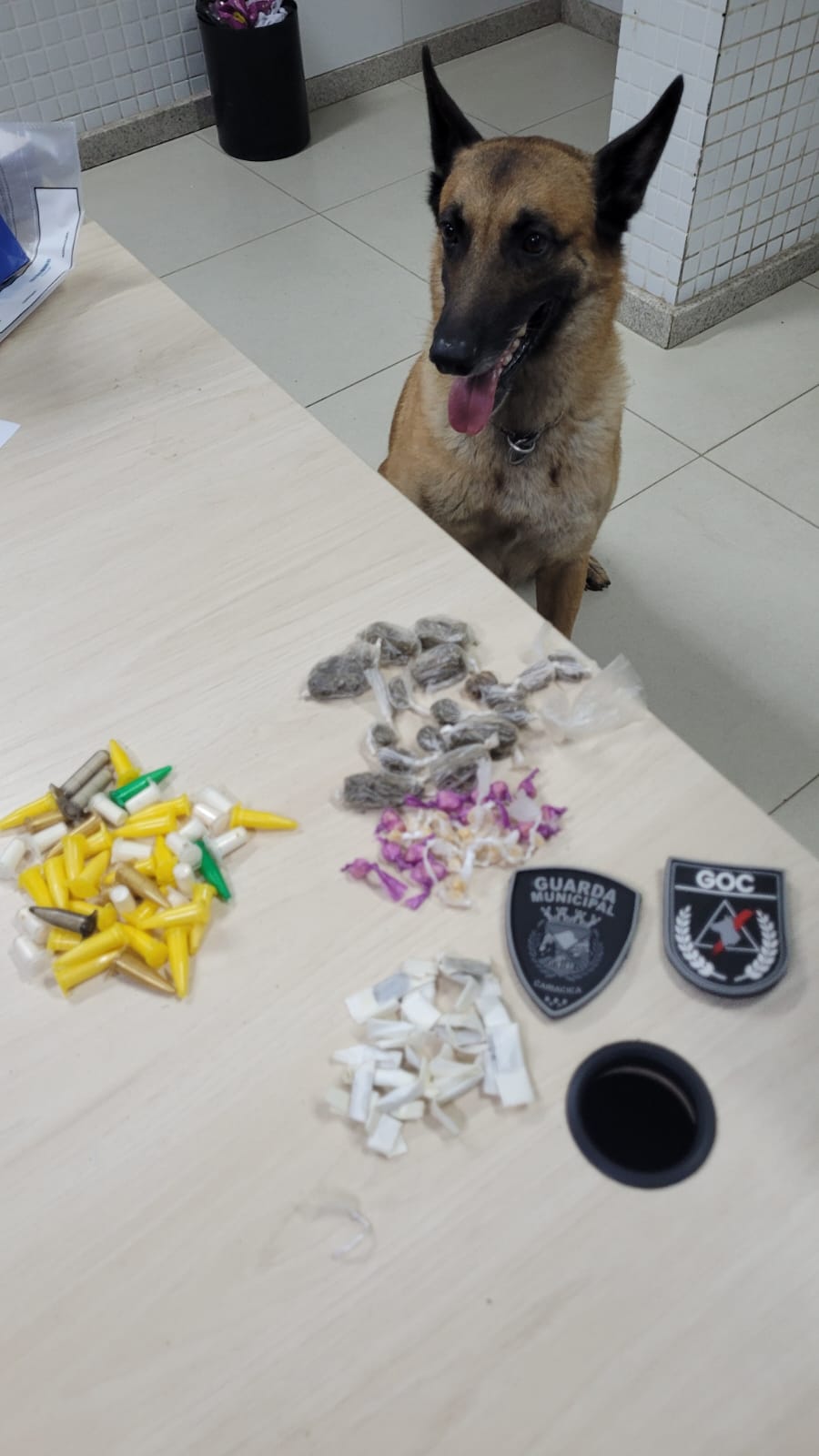 Cão farejador da Guarda Municipal de Cariacica ajuda a localizar drogas escondidas no bairro Planeta