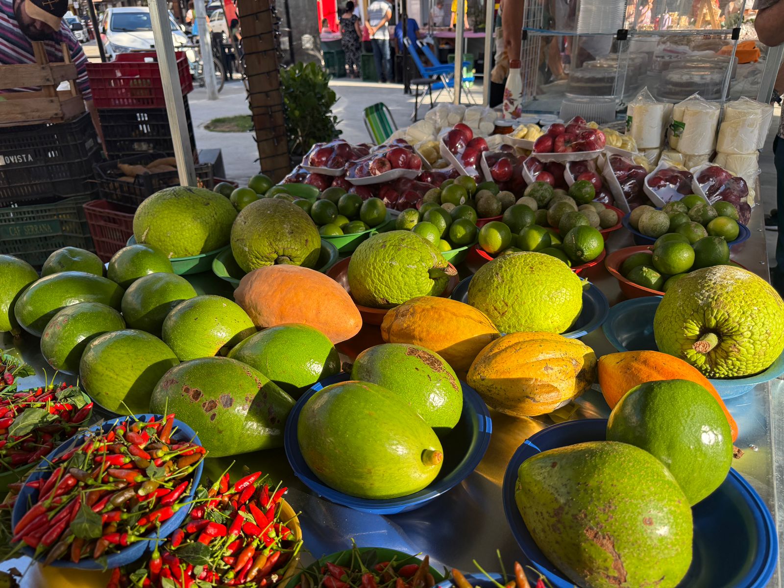 Feira da Agricultura Familiar ocorre nesta quinta (9) no Polo Gastronômico