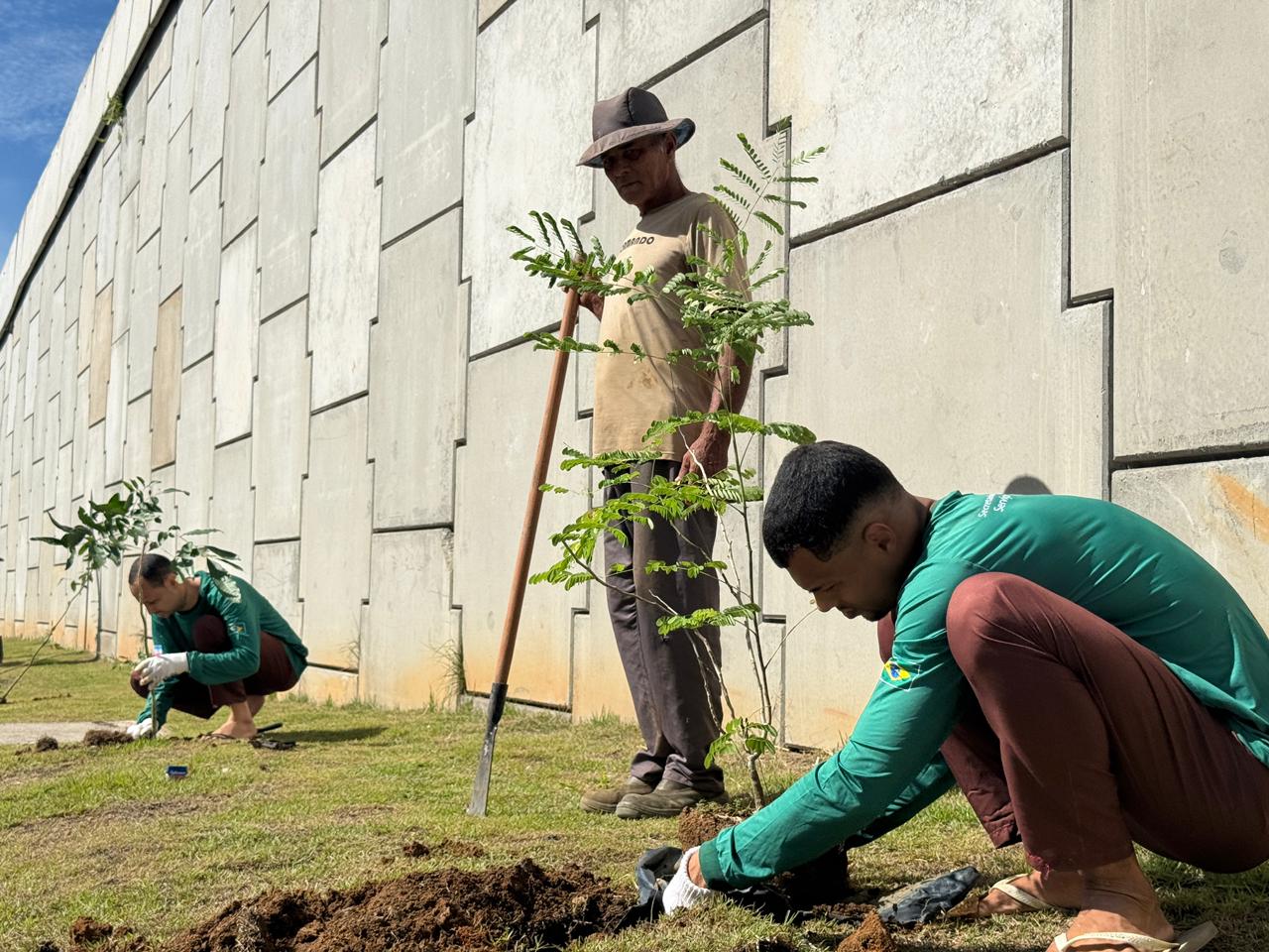 Reeducandos participam de ação de arborização no Viaduto Dona Rosa em Cariacica