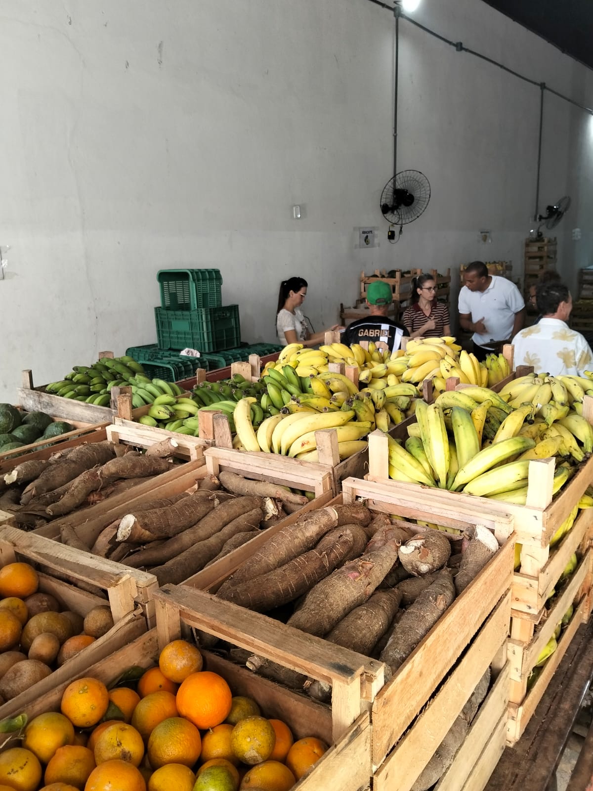 Cariacica realiza entrega de 18 toneladas de alimentos para famílias atendidas pelo CRAS e CREAS do município 