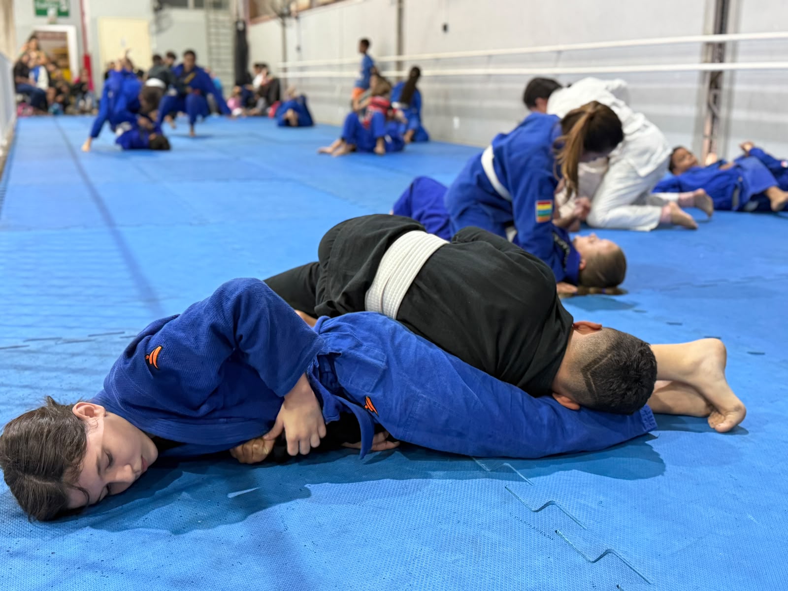 Cariacica Saudável: atletas de jiu-jitsu se preparam para campeonato deste domingo (5)