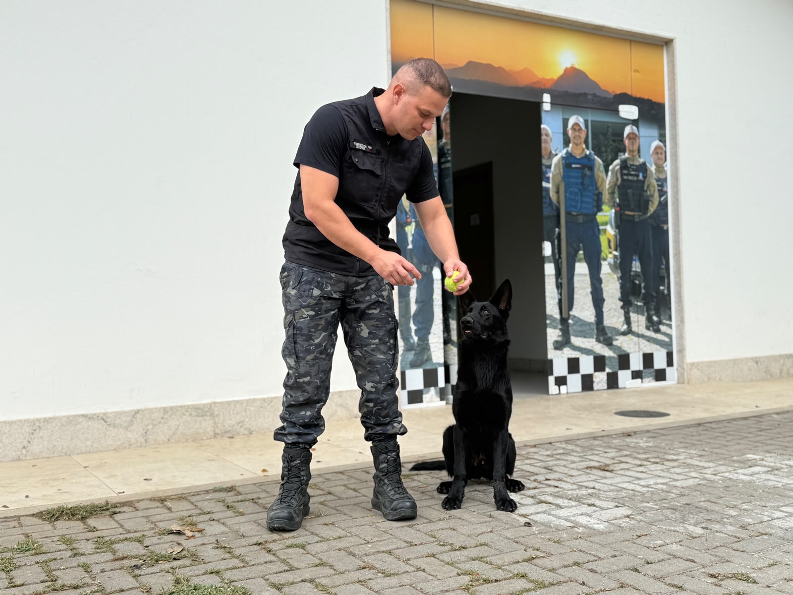 Conheça o Blade, novo cão farejador da Guarda Municipal de Cariacica
