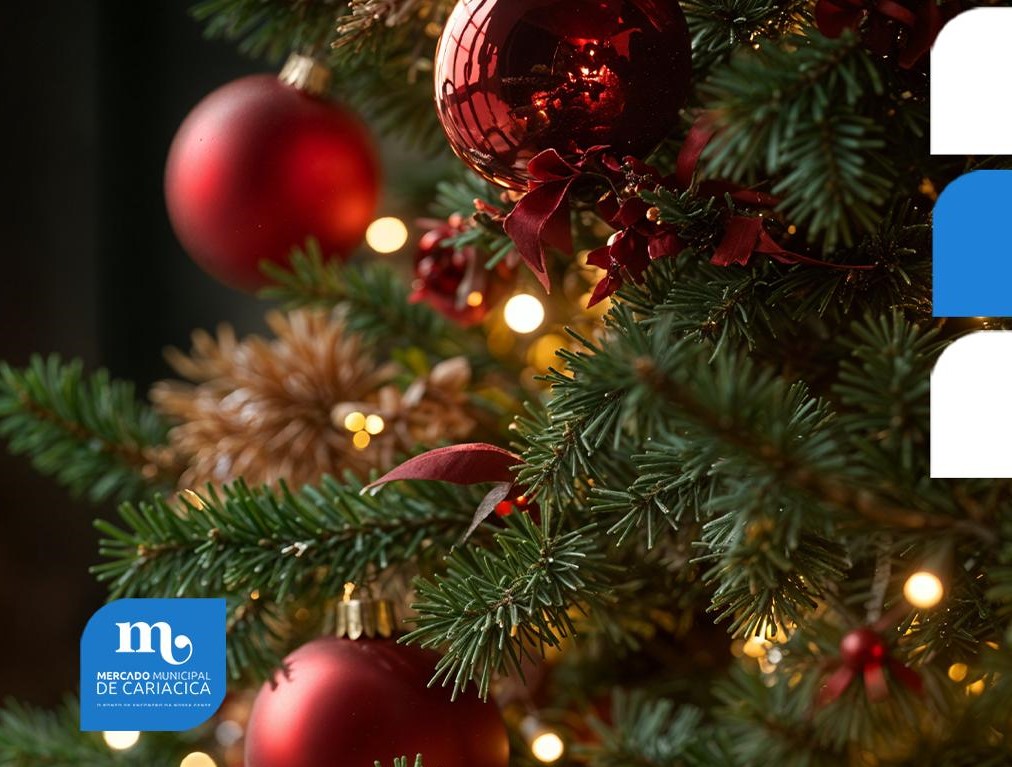 Mercado Municipal abre inscrições para Feira de Natal & Arte 