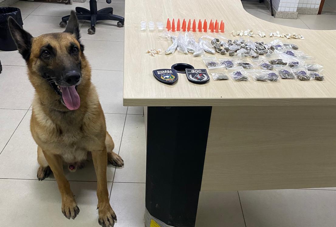 Guarda Municipal apreende drogas e recupera moto durante patrulhamento