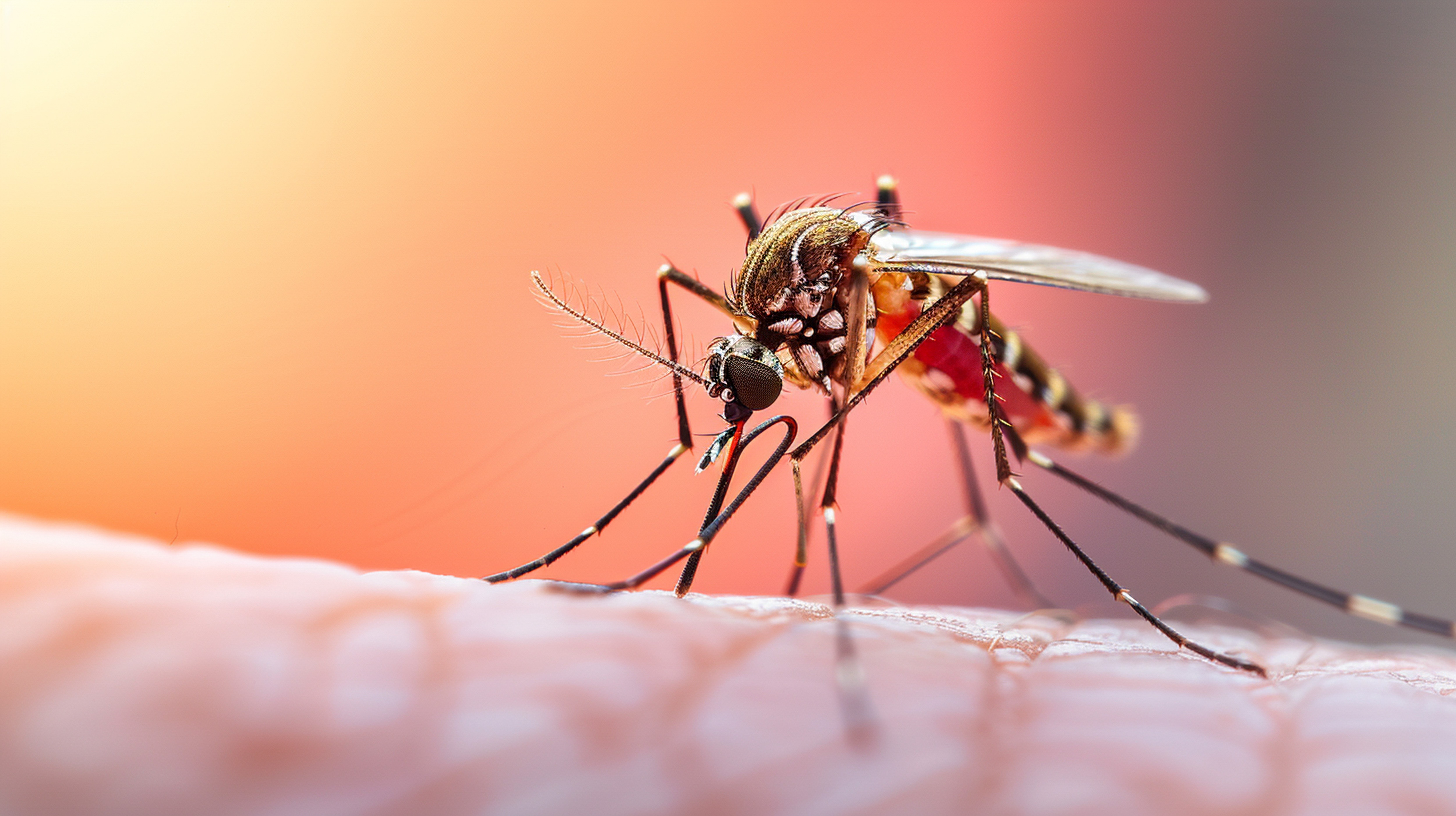 Cariacica registra redução de quase 82% nos casos de dengue no primeiro semestre de 2026