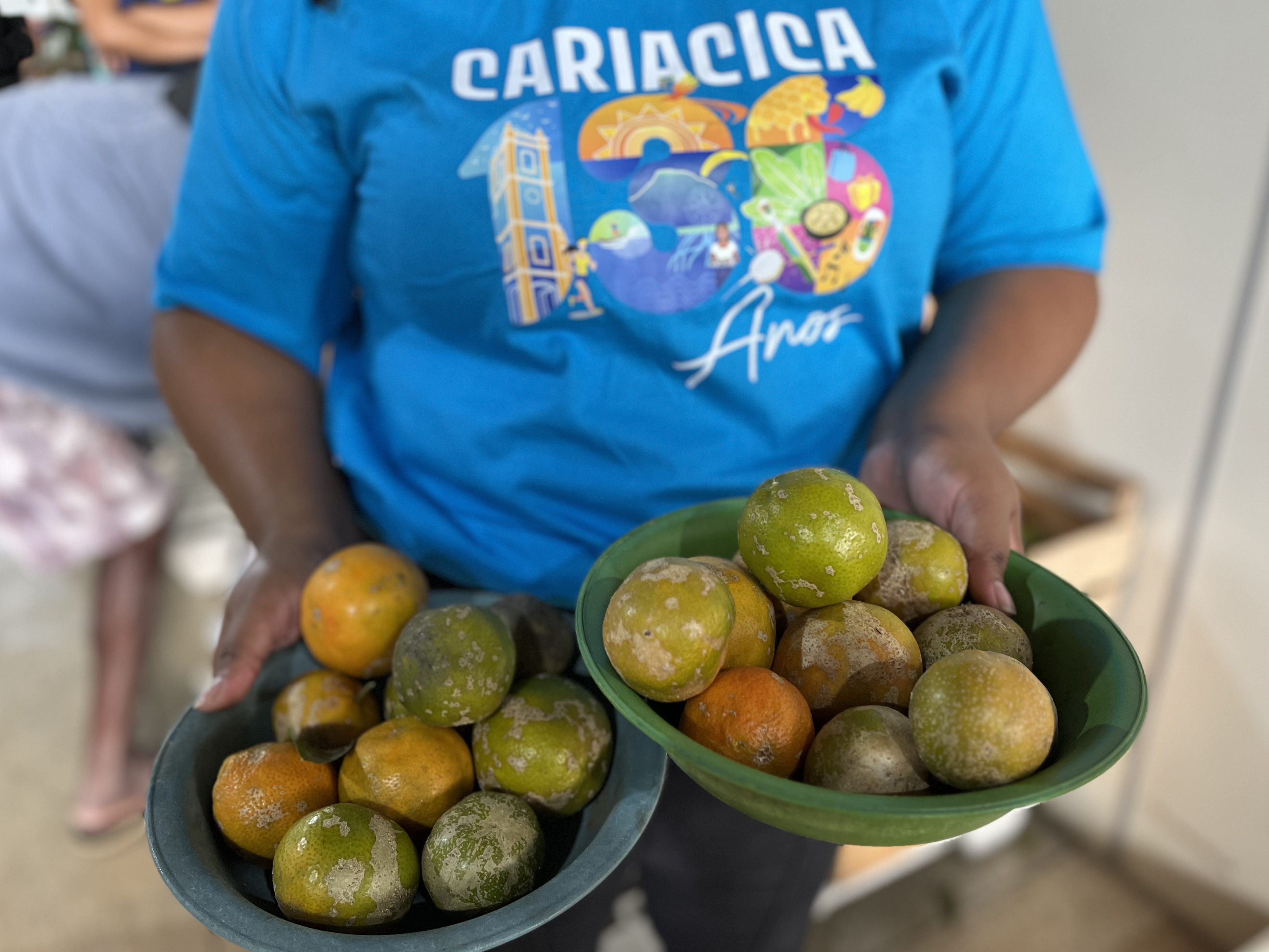 Assistência realiza entrega de Cesta Verde para 180 famílias de Cariacica 