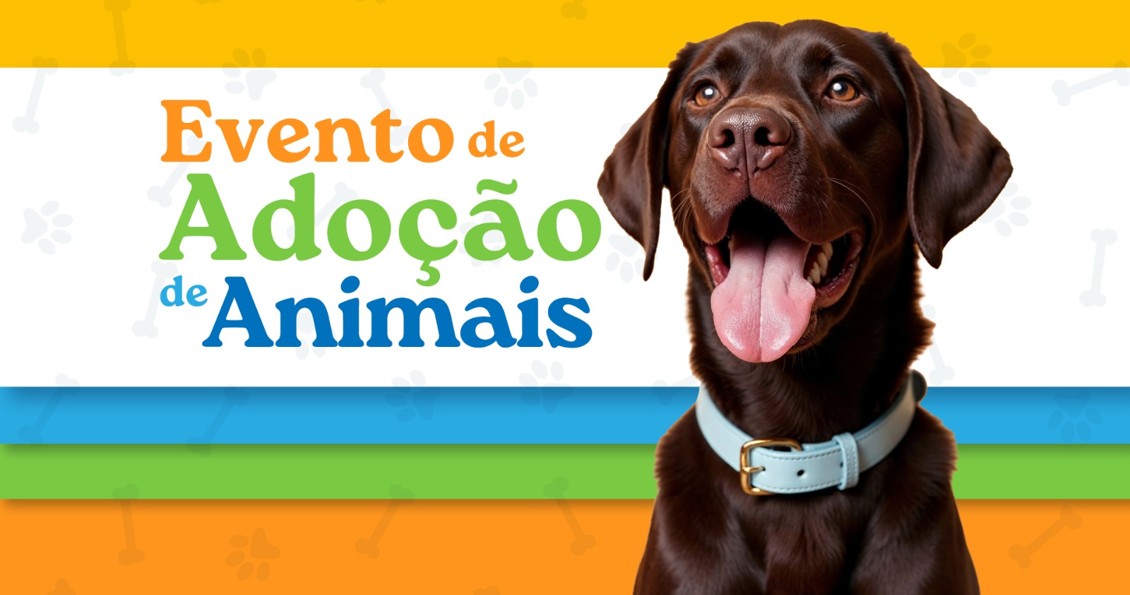 Praça de Campo Grande recebe Feira de Adoção neste sábado (27)