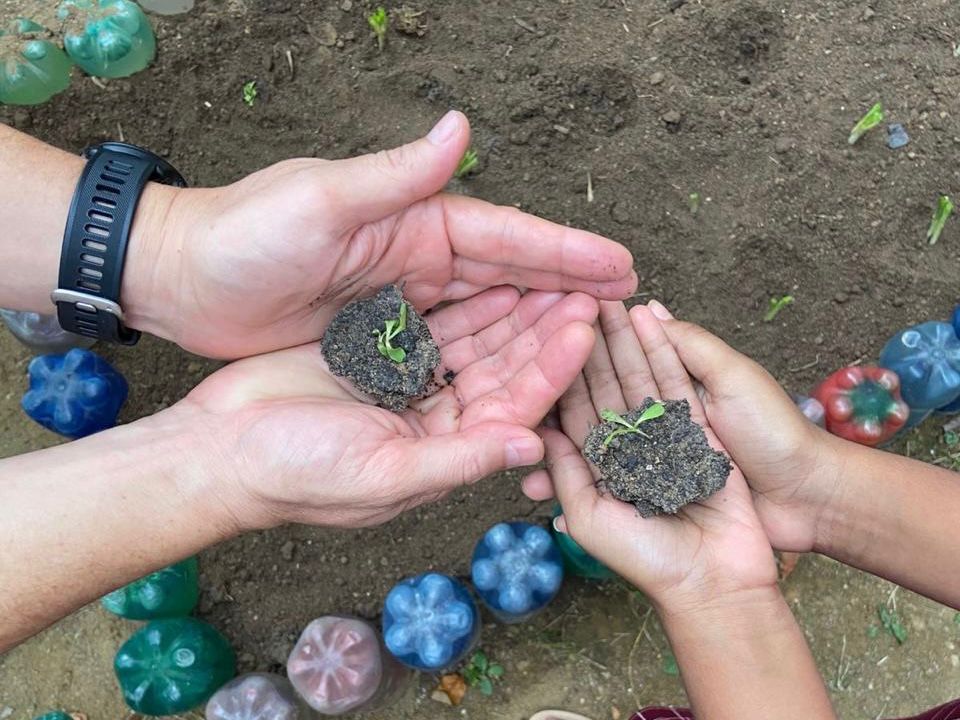 (Se)mentes Criativas: Hortas Solidárias fortalece cuidado terapêutico no Capsi em Cariacica