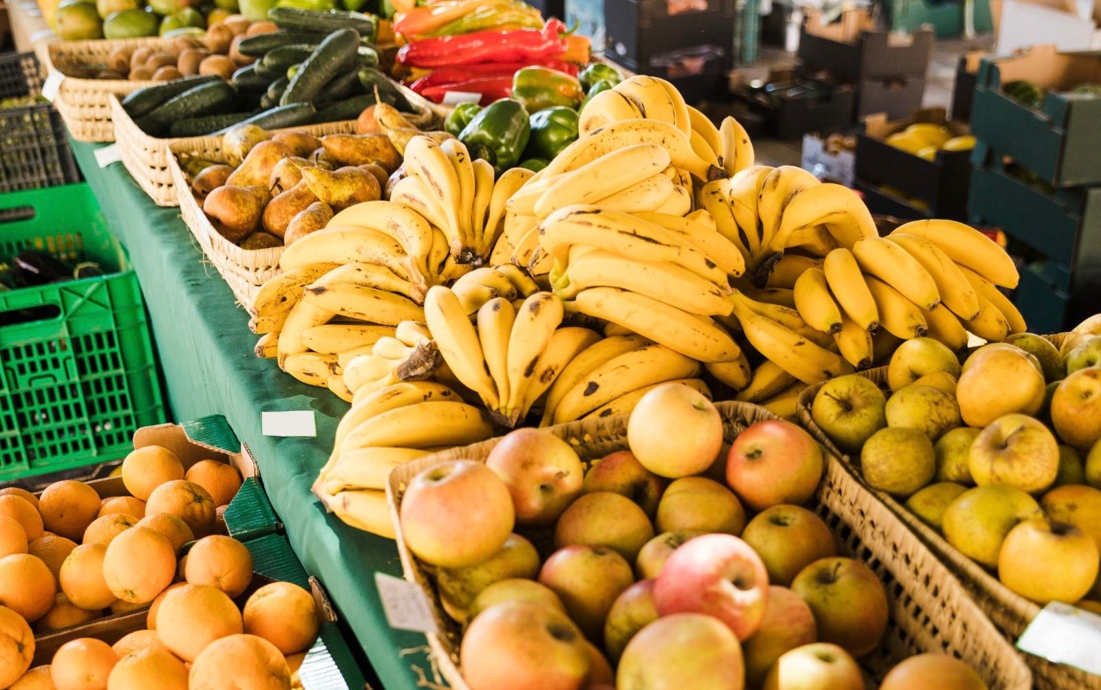 Do campo à mesa: Vigilância Sanitária garante segurança alimentar por meio da rastreabilidade de alimentos