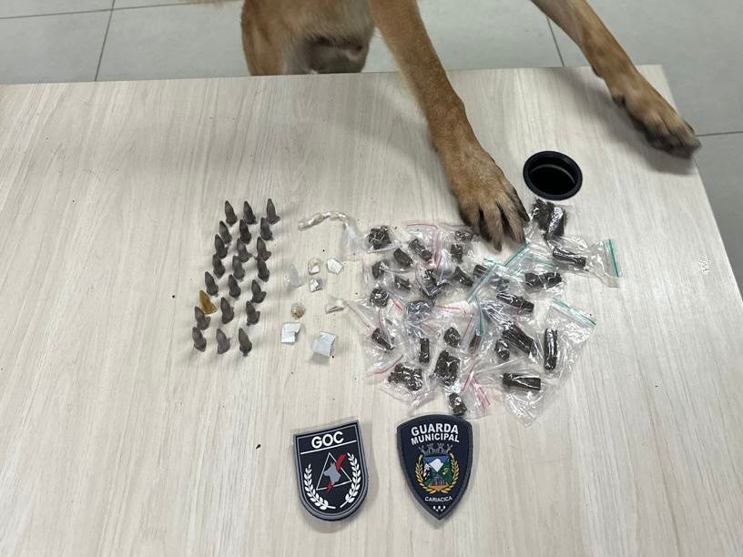 Guarda Municipal apreende entorpecentes com ajuda de cão farejador em Rosa da Penha