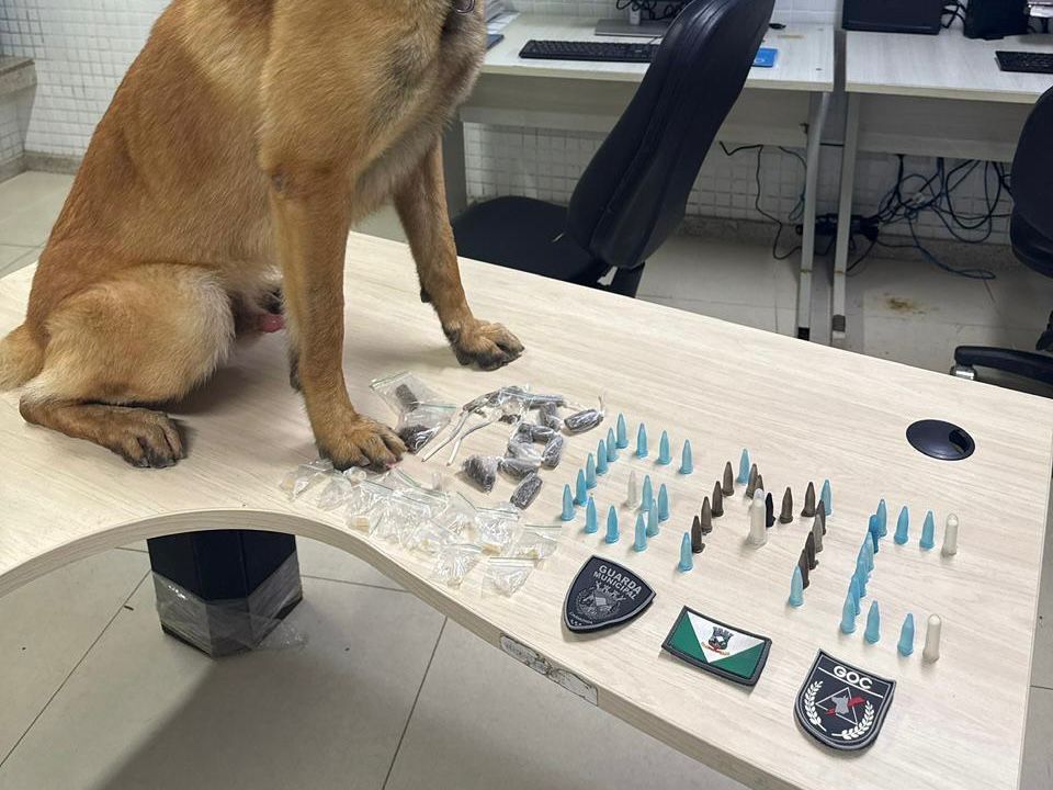 Guarda Municipal apreende entorpecentes em Rosa da Penha e recupera veículo roubado em Santa Cecília