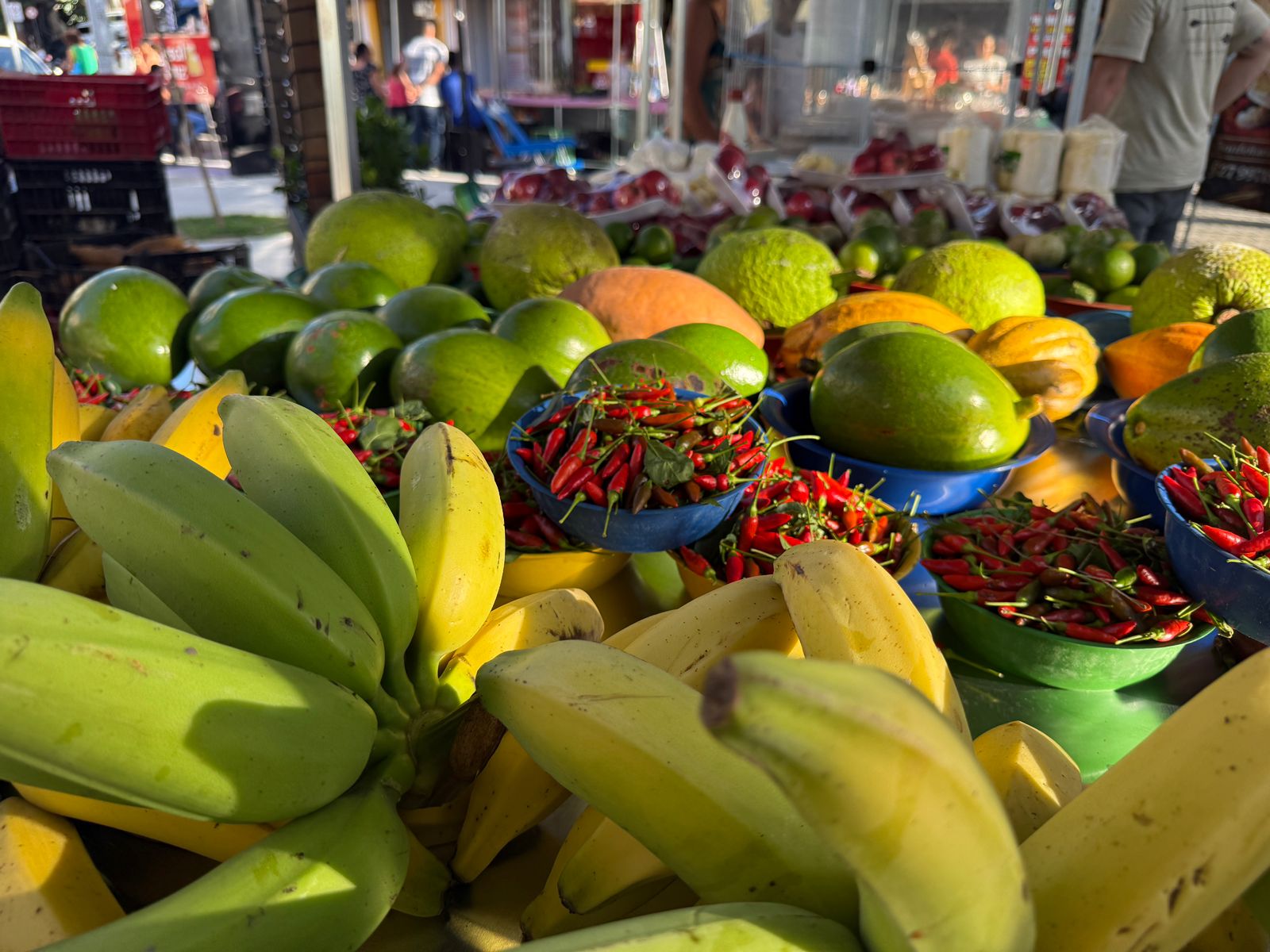Quinta (23) tem Feira de Agricultura Familiar no Polo Gastronômico
